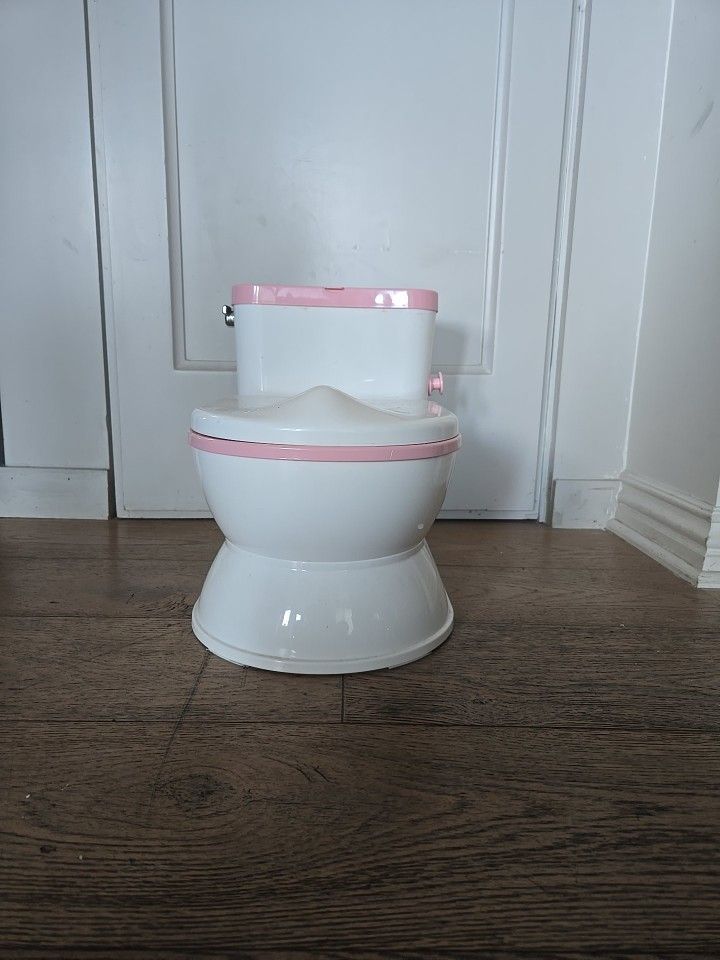 Potty Chair