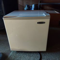 Mini Fridge 