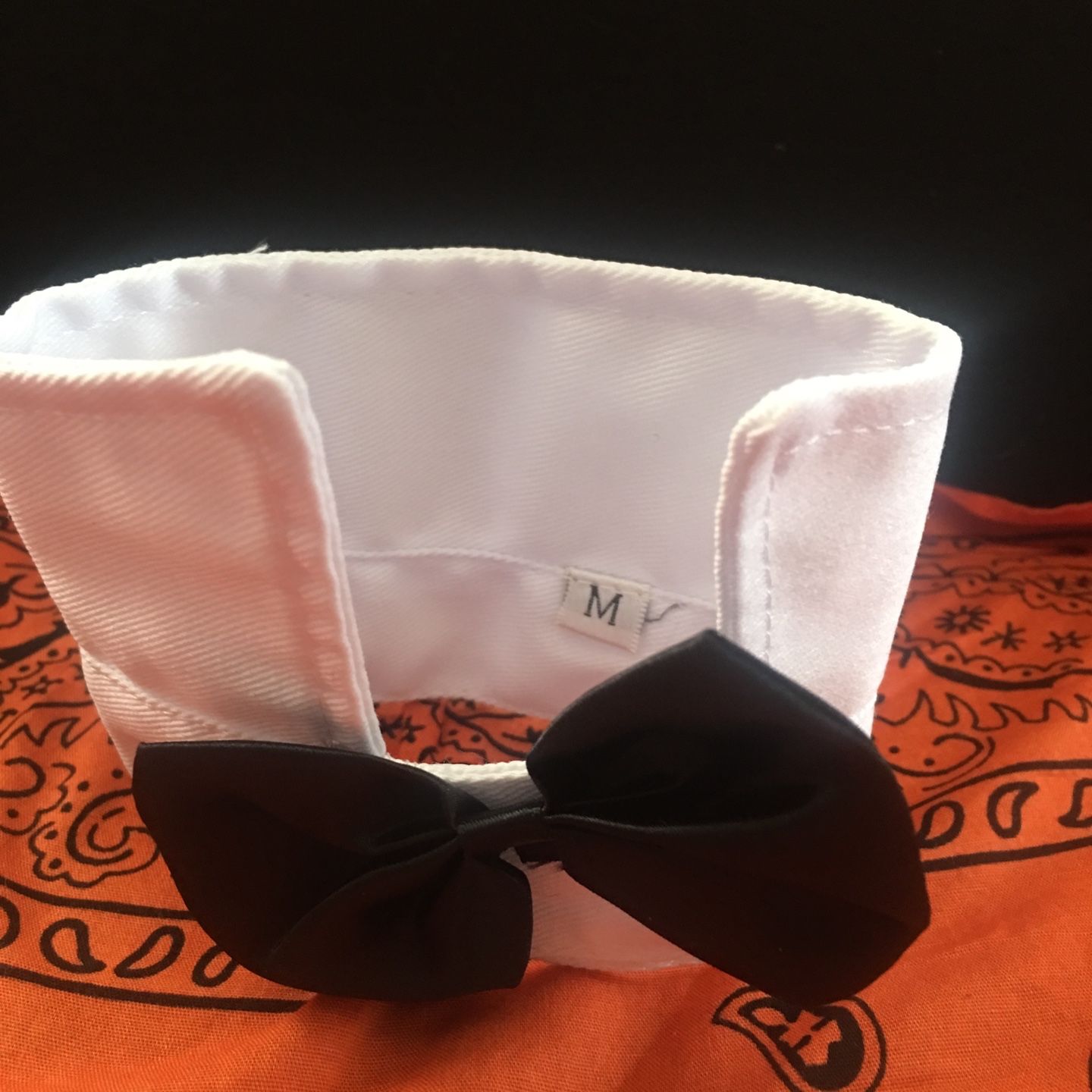 Dog Tie Size Medium
