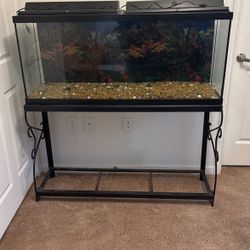 “Large Fish Tank for Sale - Great Offer!”