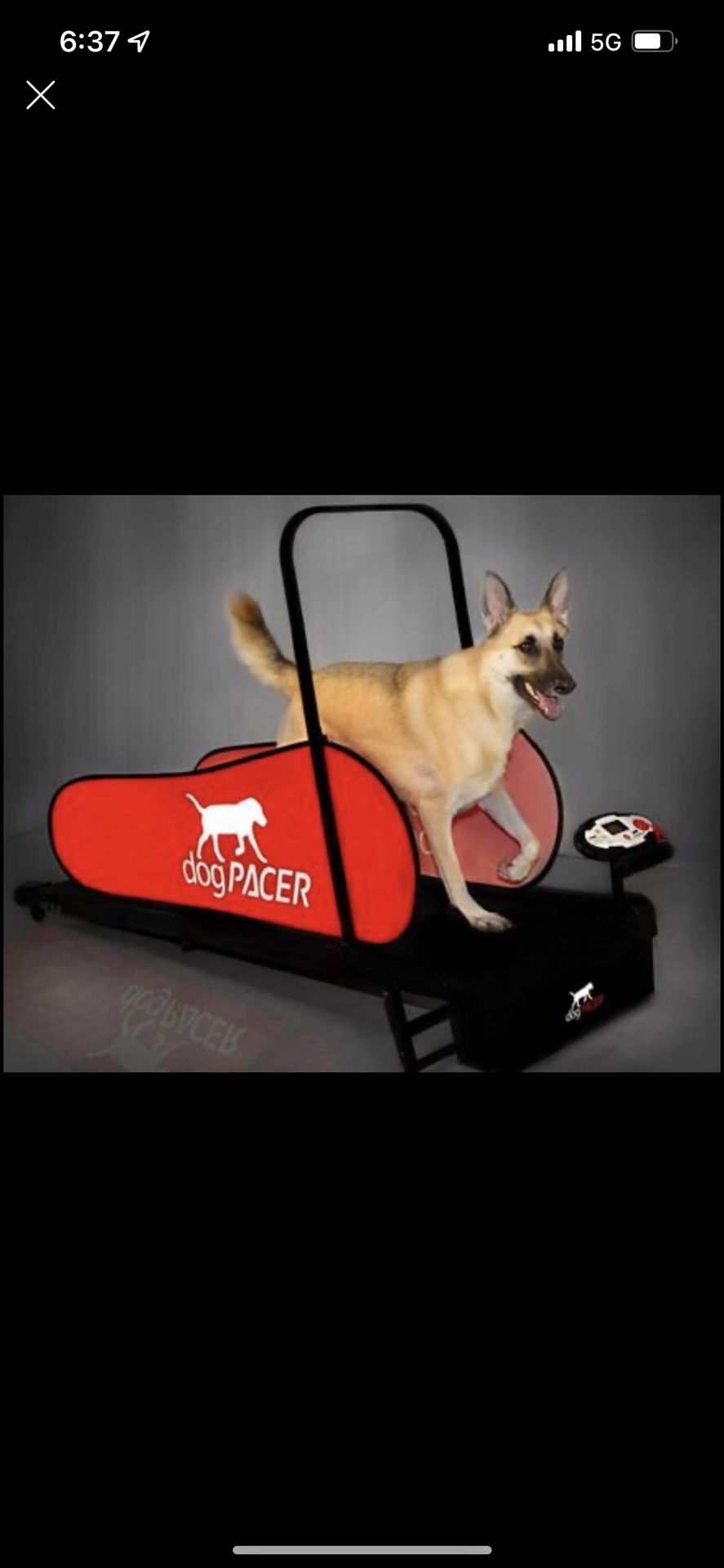 Dog Treadmill