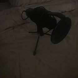 Microphone 