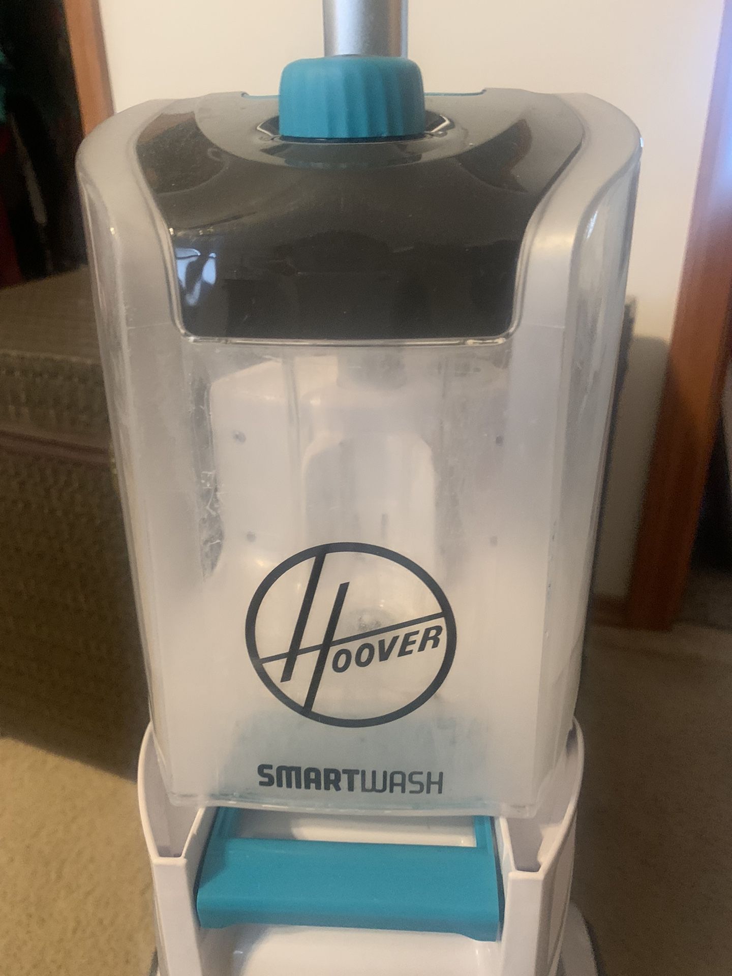 Carpet Cleaner /steamer