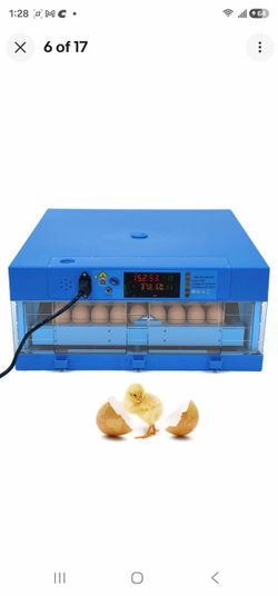 Poultrey 36 eggs Automatic Incubators for chicken Duck goose, Quall, pigon Auto eggs Turning