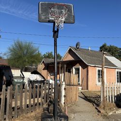Basketball Hoop NEED GONE ASAP