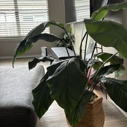 Artificial plant