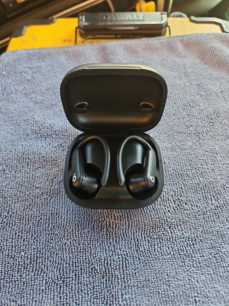 PowerBeats Pro ear Buds