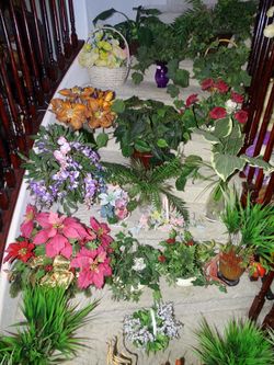 All 25 Fake Plants/ Flowers 