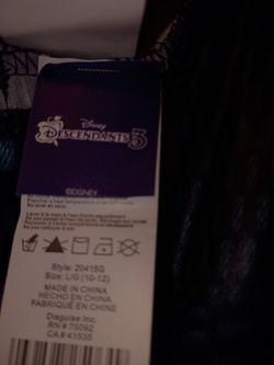 Disney decendent