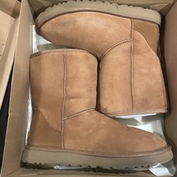 Uggs Classic Short II // Size 12 