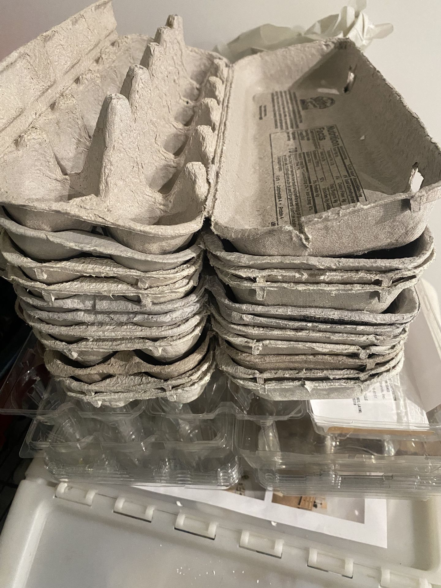 Free Egg Cartons!