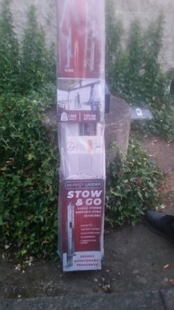 Stow and go ladder