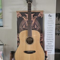 🎸 Breedlove Discovery Dread Acoustic Guitar + Gig Bag – Gorgeous Sound & Ready to Play!