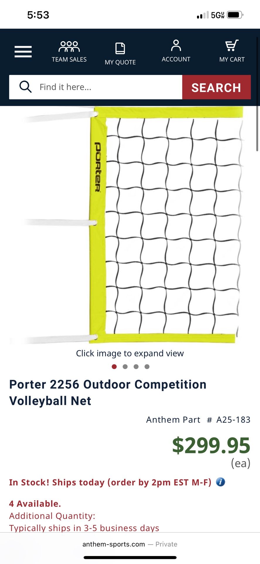 Volleyball Net