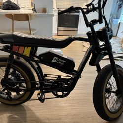 Electric Bike 