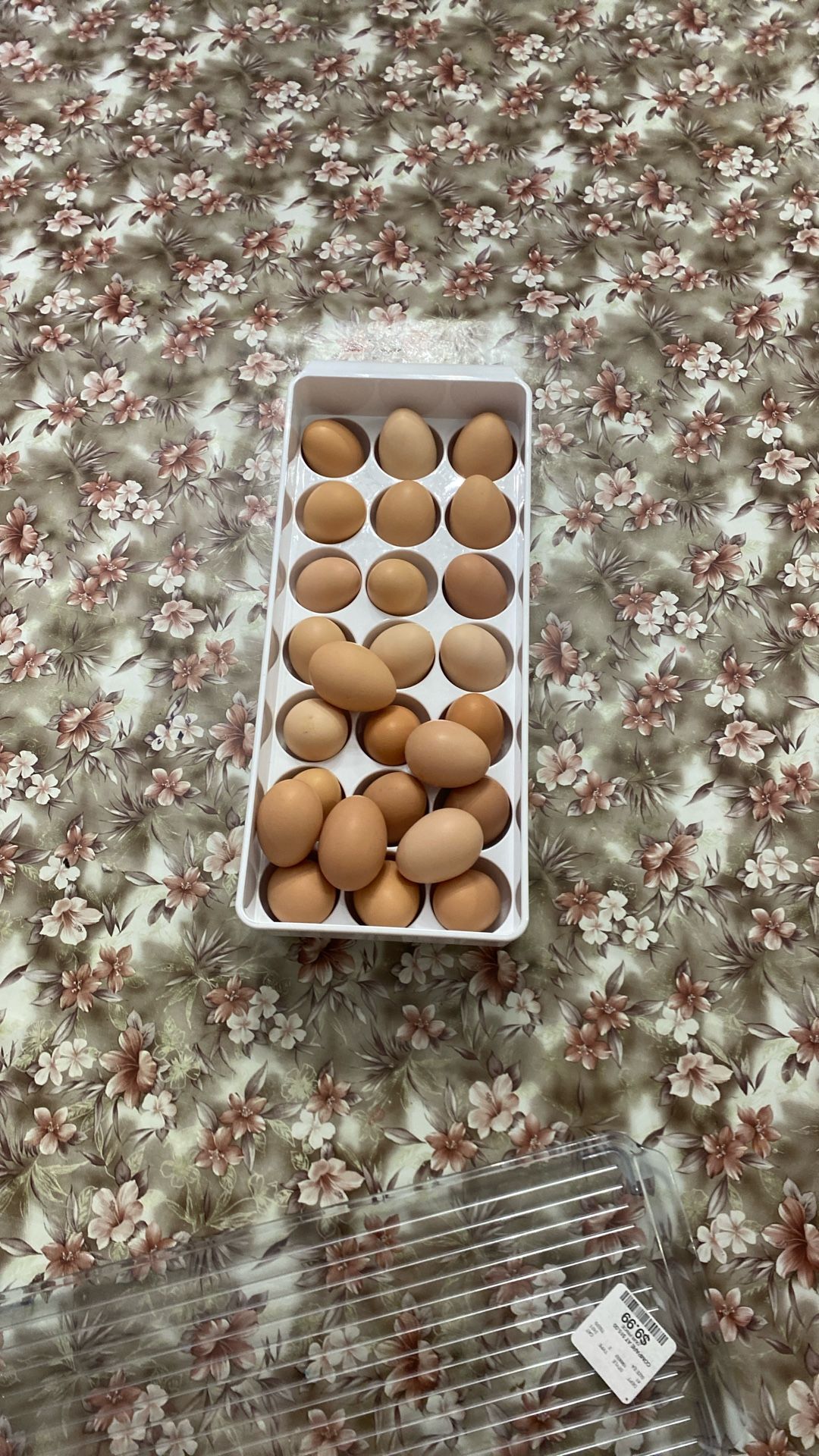 Home Raised Eggs (12)