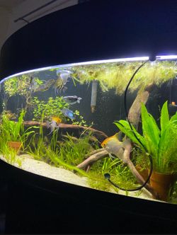 75 Gallon Fish Tank Aquarium 