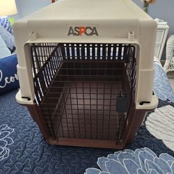 Dog Crate   Clean