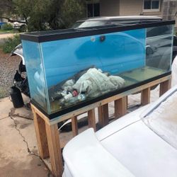 Fish Tank With Stand 