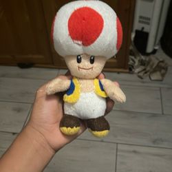 Toad Not The Best Condition