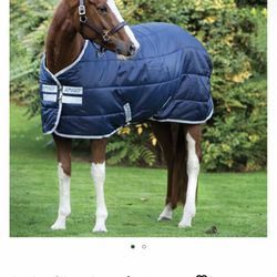 Horse blanket brand new  