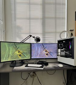 Gaming Setup NZXT PC