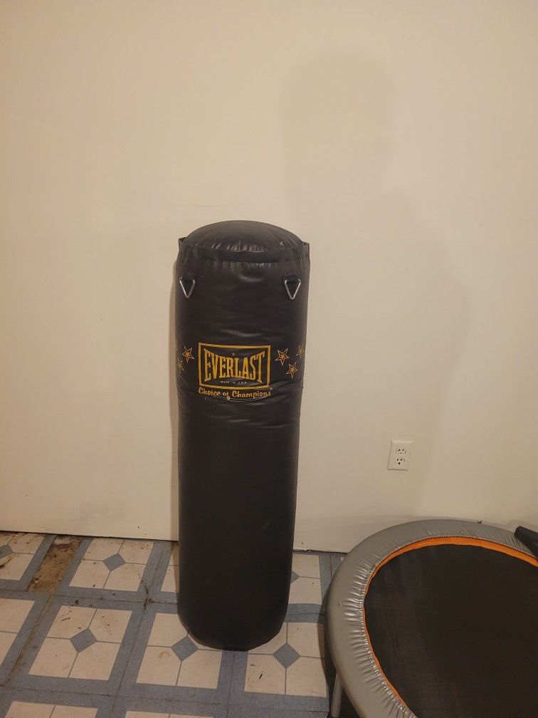 Everlast 100lb Punching Bag