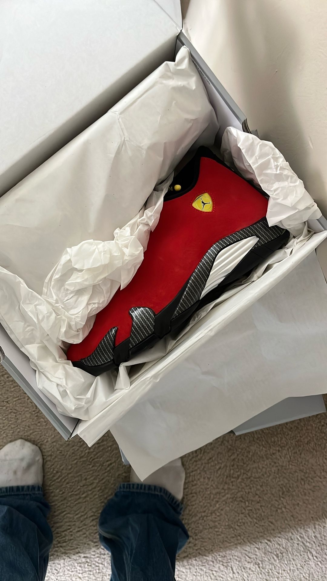 Jordan 14 Ferrari Size 11