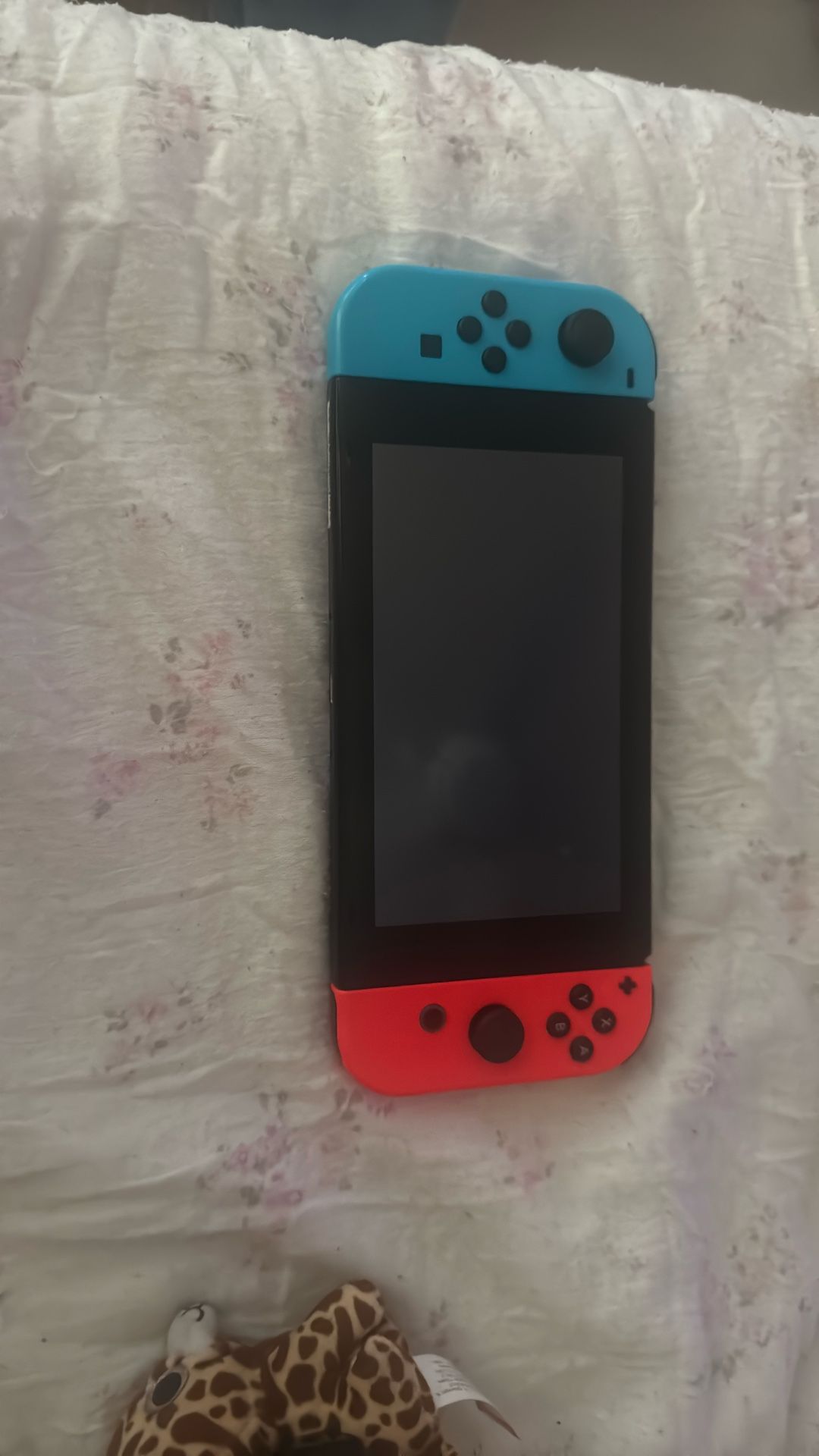 Nintendo Switch - Blue and Red