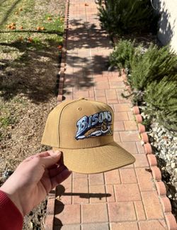 buffalo bisons fitted hat