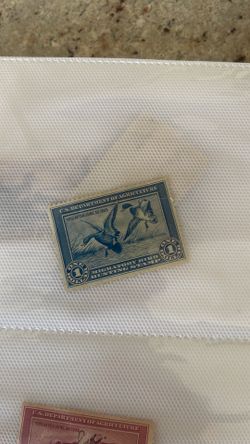 Duck stamps