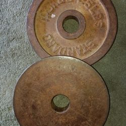 Two 25 Lbs Weight Plates 