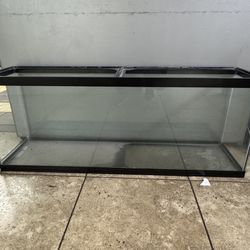 50 Gallons  Fish Tank 