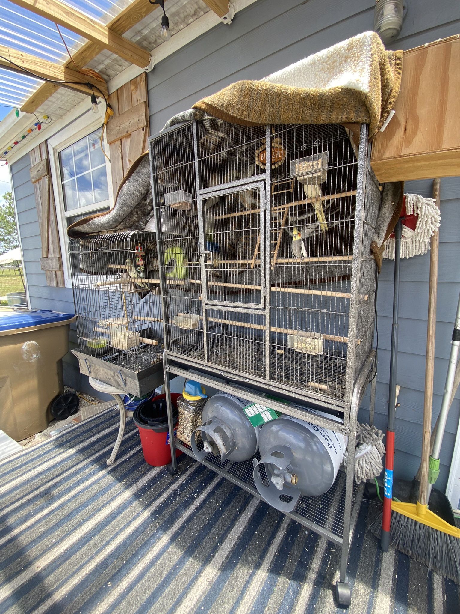 Two Big Bird Cages