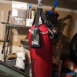 Punching Bag And Gloves