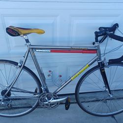 Titanium Litespeed Arenberg 