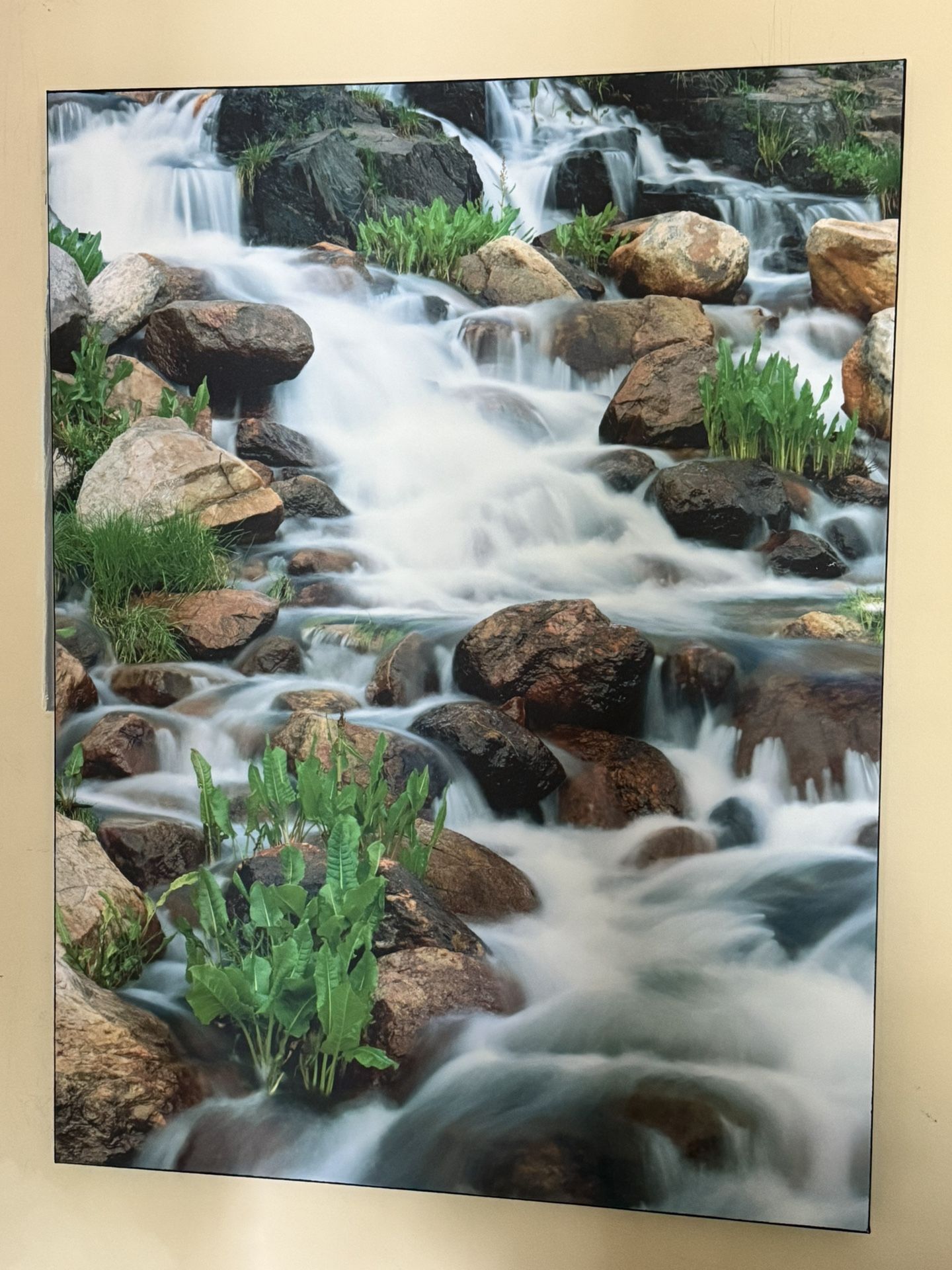 Canvas Wrapped Picture
