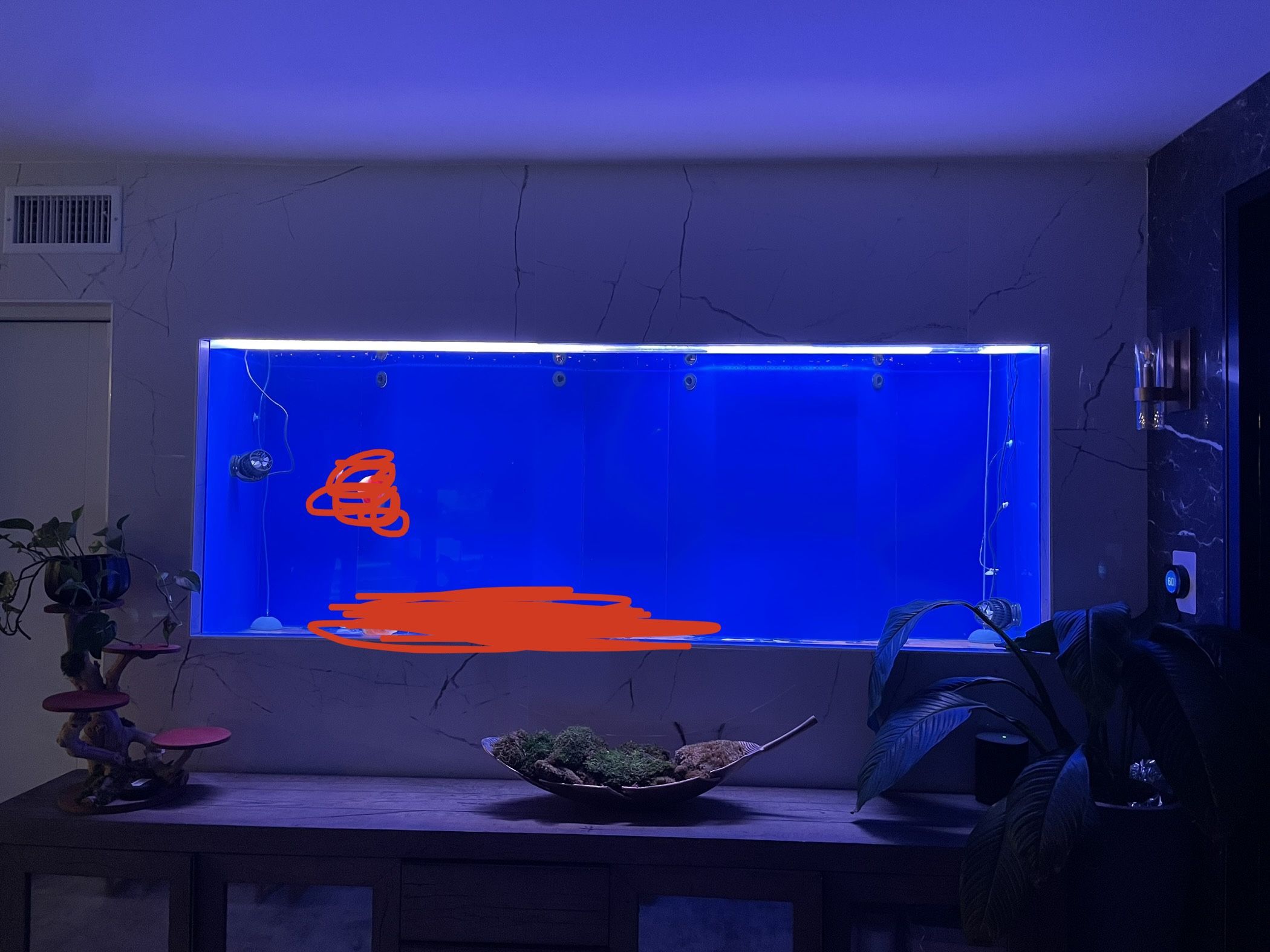 Acrylic Aquarium Fish Tank 8ft X 3ft Tall X 2ft