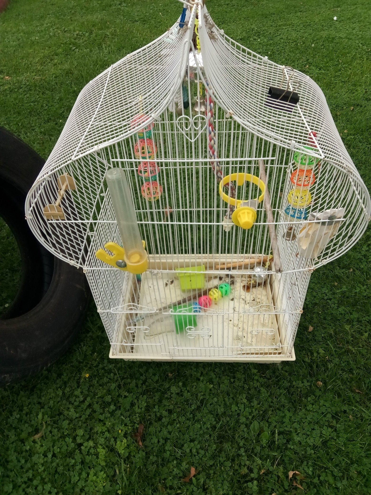 Bird Cage