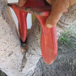 Boar Anchor, About 25-30 Lbs.