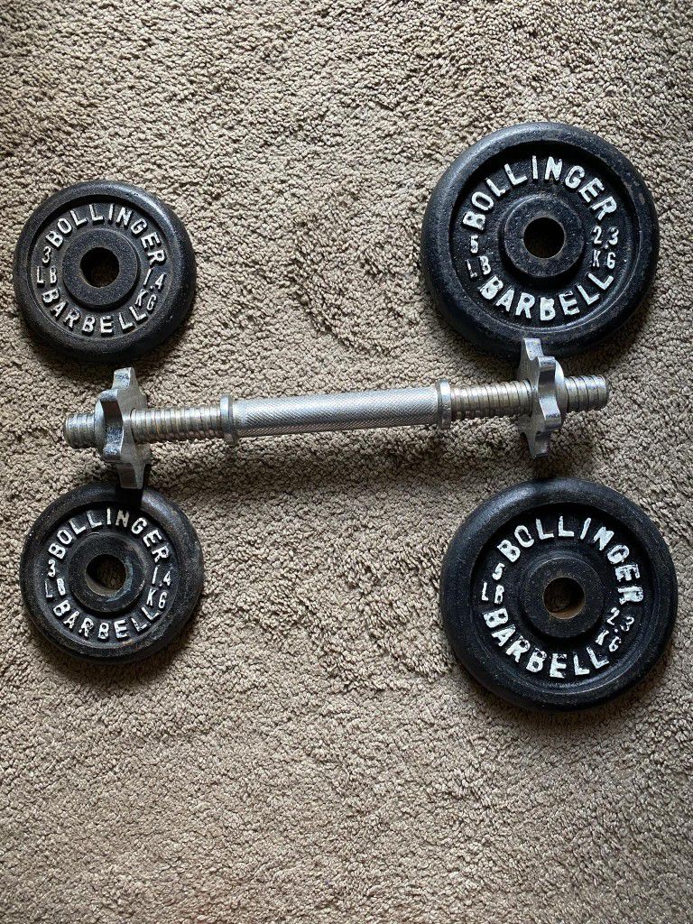 Metal Bollinger weights
