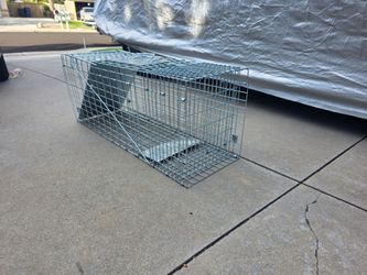 Brand new collapsible live animal traps, 2 available