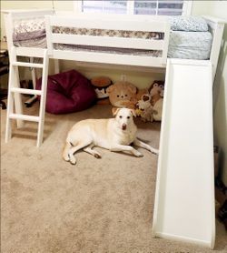 Loft Bed with Slide