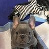 Marie