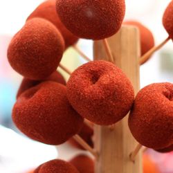 Manzanas De Chamoy Sur De Austin