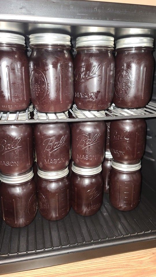 elderberry seamoss 