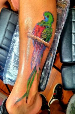 Color Art work