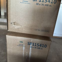 100 Count Disposable Sheet Pads, 30x36 Waterproof Underpads