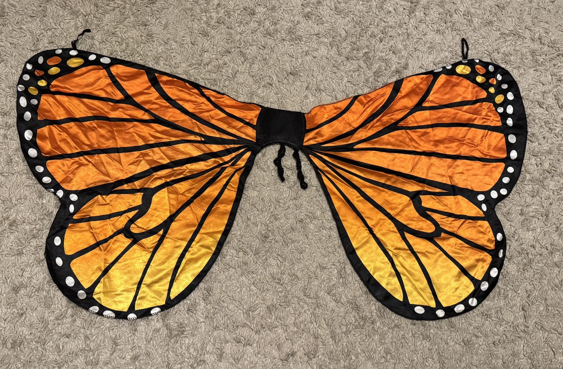 Beautiful monarch butterfly wings