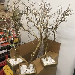 Arbolitos Para Decoración